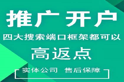 百度竞价赚钱技巧：案例分析